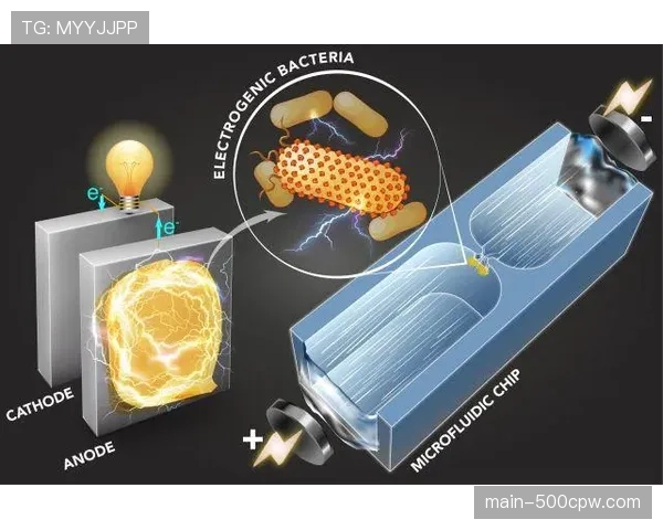 环法宣布2027年起，所有赛事车辆将实现100%电力或生物燃料驱动